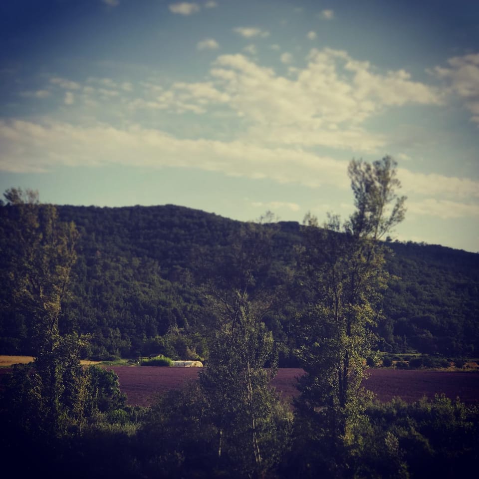 Natural landscape