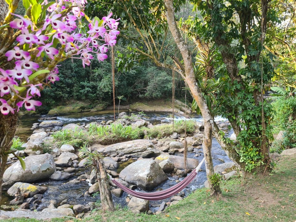 Natural landscape, River view