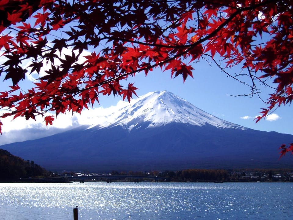 Natural landscape