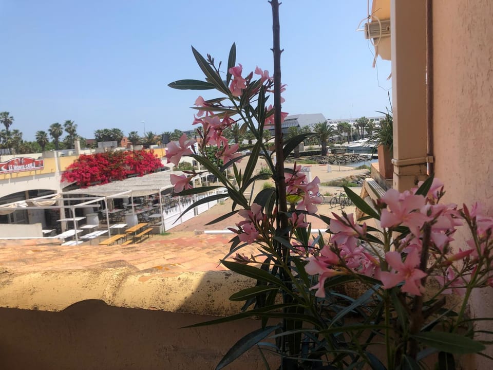 Naturiste Port Soleil avec piscine Apartment in Agde