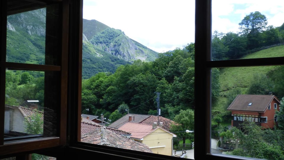 View (from property/room)
