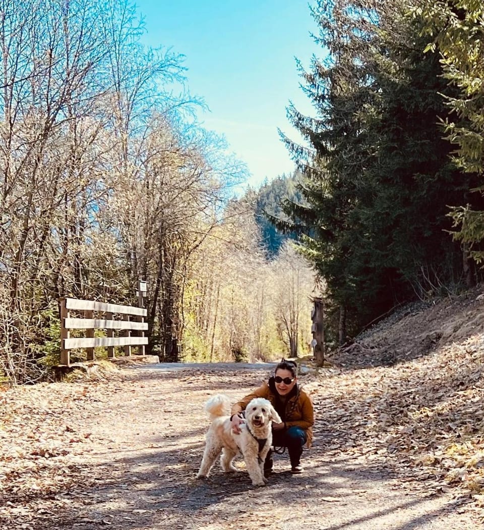 Natural landscape, Pets