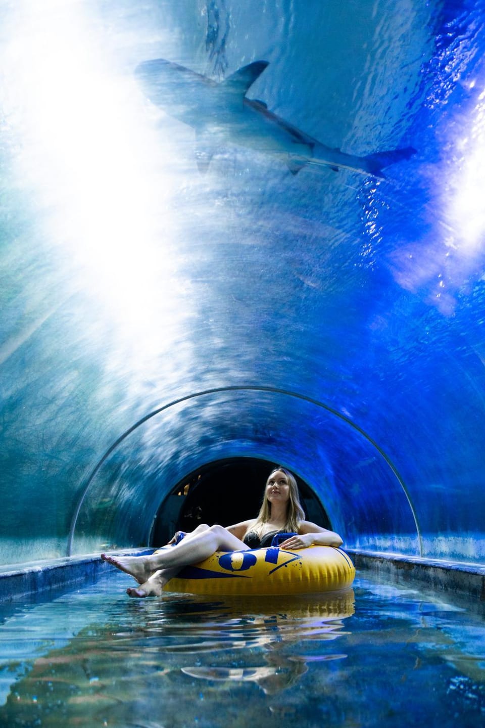 Activities, Aqua park, Swimming pool