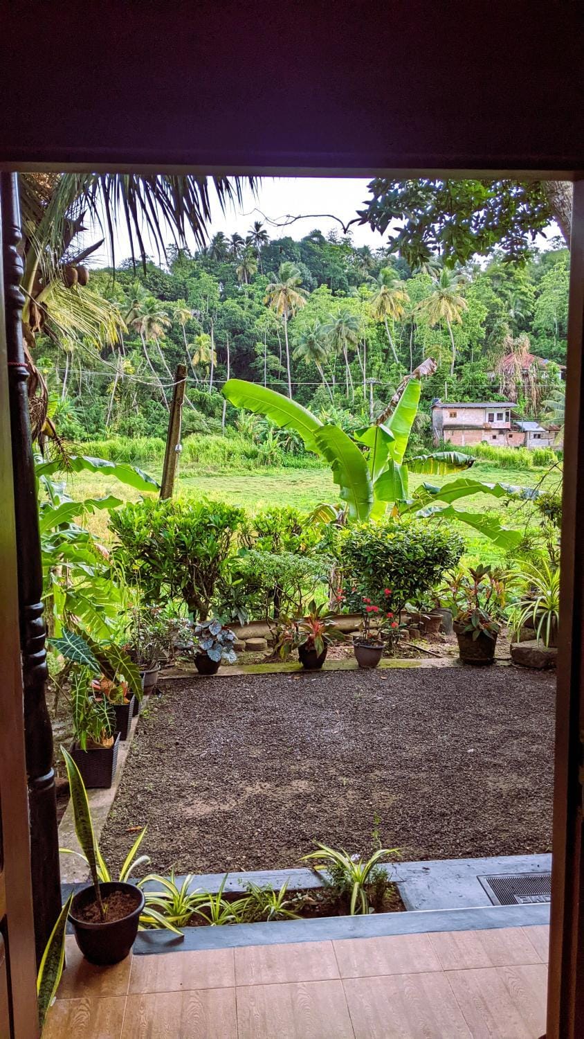 Natural landscape, Garden view