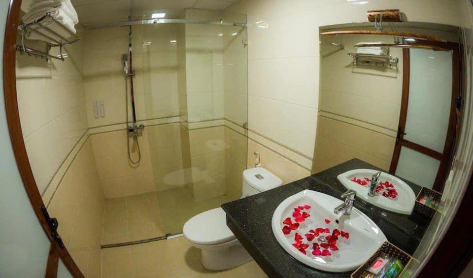 Shower, Toilet, Bathroom, towels