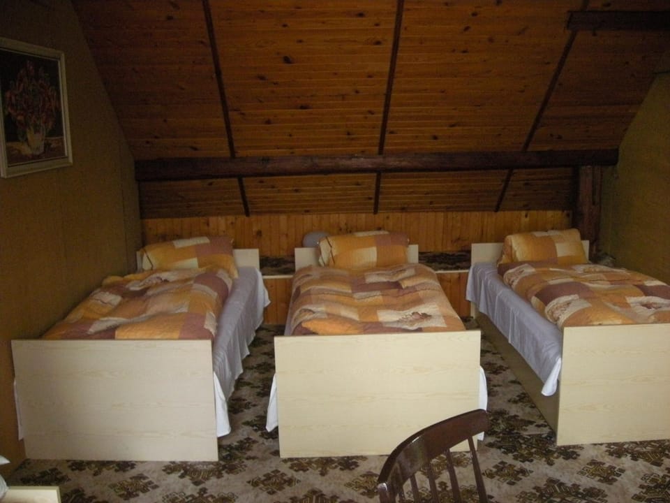 Penzion Nevcehle Bed and Breakfast in South Bohemian Region