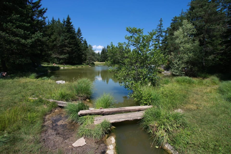 Natural landscape