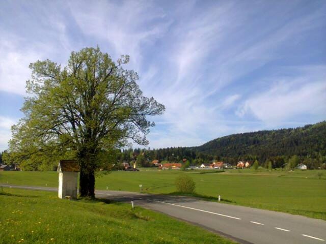 Neighbourhood