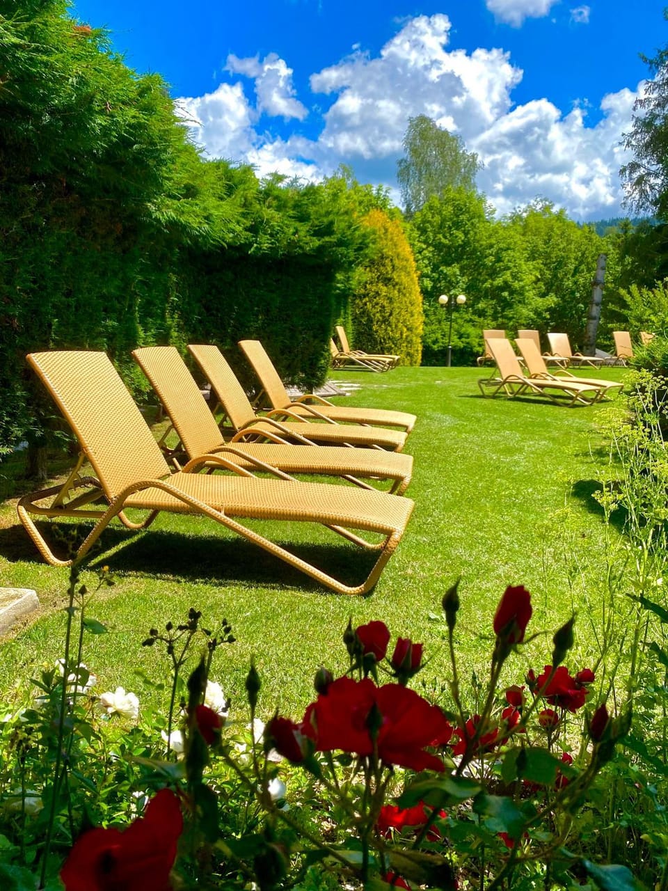 Garden, sunbed