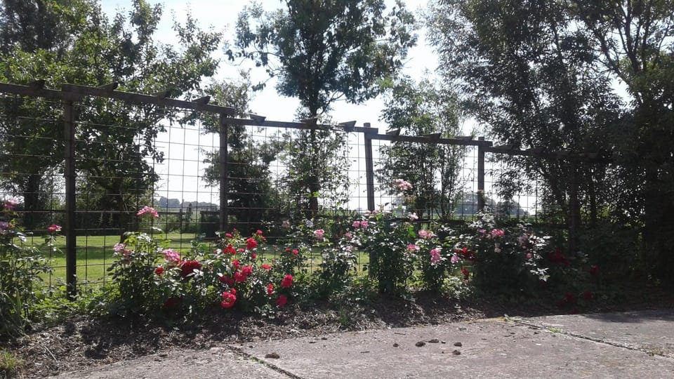 blokhut us Mem Campground/ 
RV Resort in Friesland, Netherlands