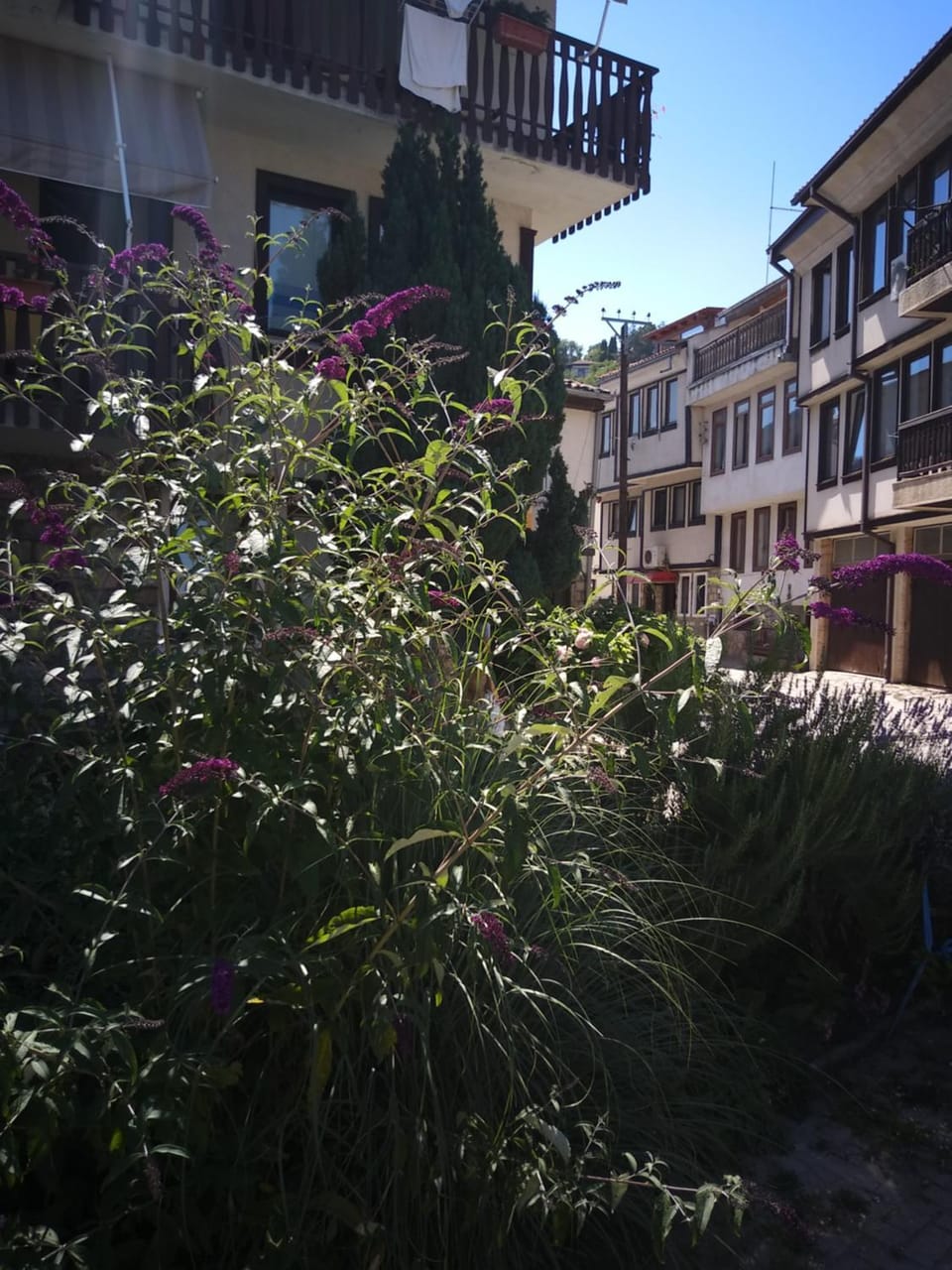 Property building, Day, Neighbourhood