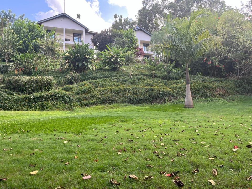 Property building, Natural landscape, Garden view