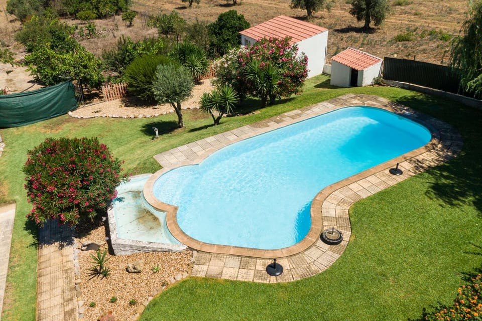 Garden, Pool view, Swimming pool, Swimming pool