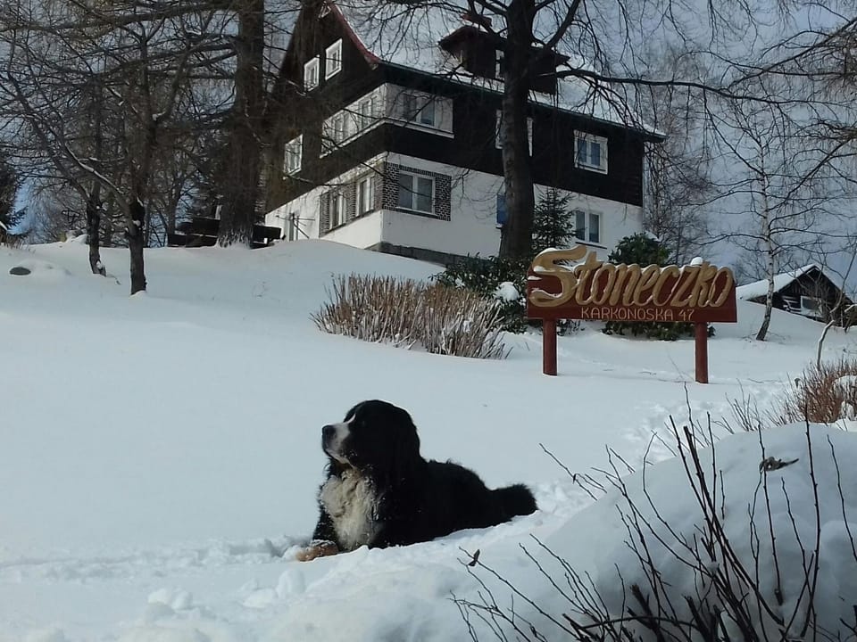 Property building, Day, Property logo or sign, Winter, Animals