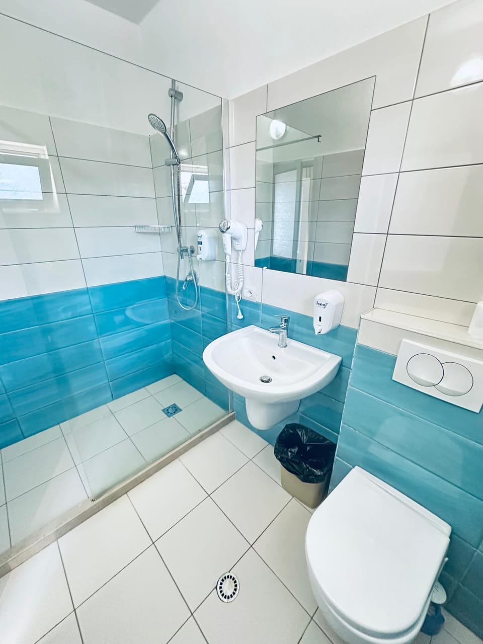 Shower, Toilet, Bathroom, bidet, hair dryier