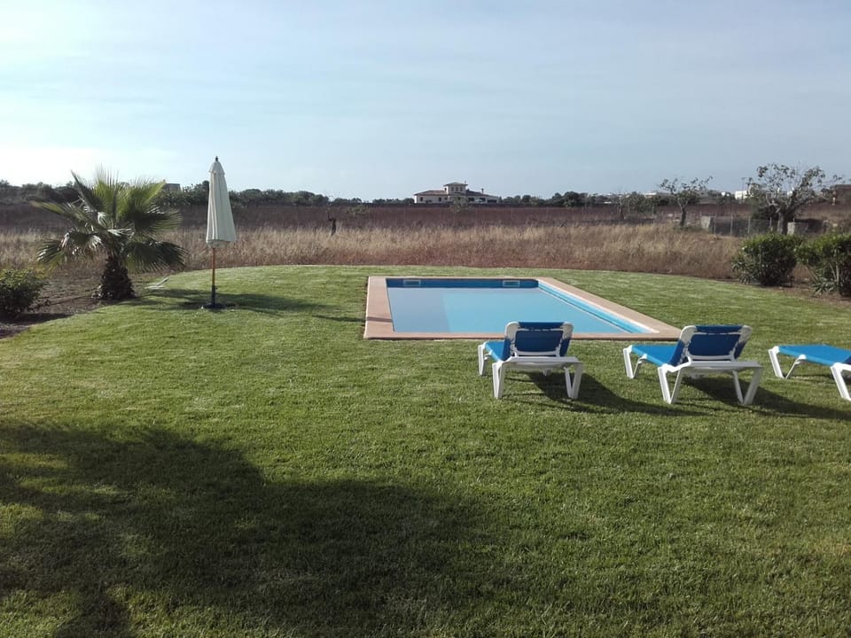 Garden, Swimming pool