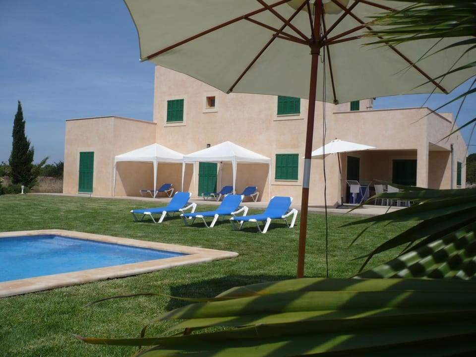 Garden, Swimming pool