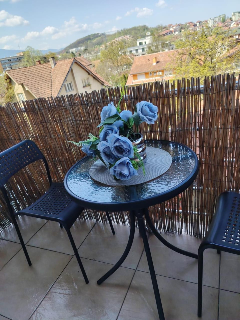 Studio ARIES Apartment in Serbia