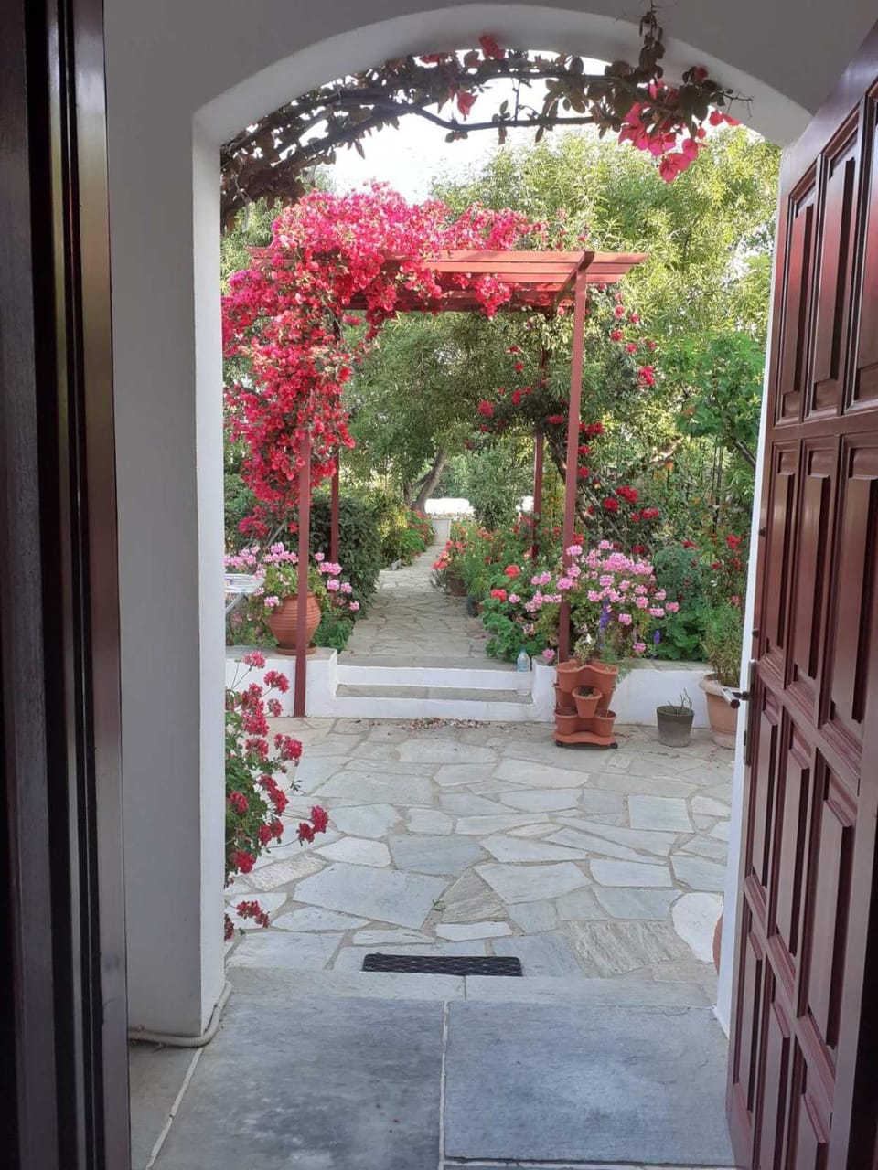 Garden view
