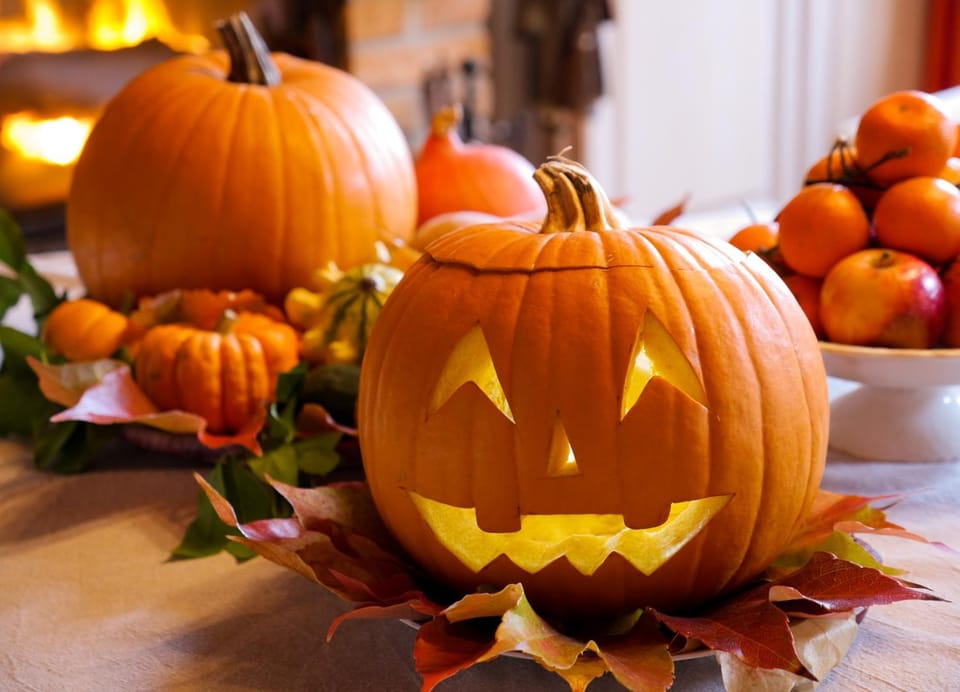 Day, Living room, Dining area, Autumn