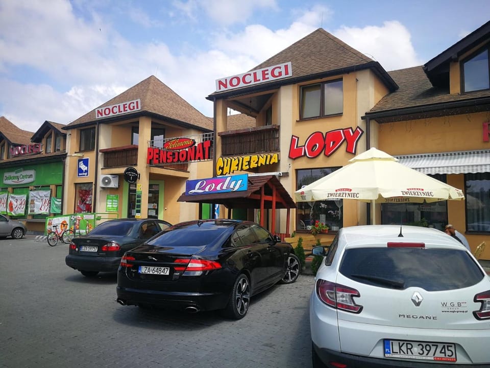 Pensjonat Telimena Bed and Breakfast in Lviv Oblast
