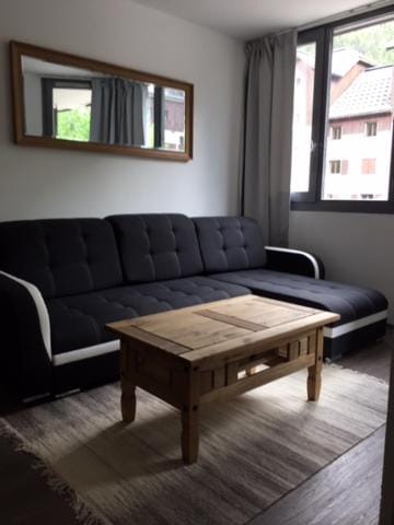 Chamois Blanc Apartment in Chamonix