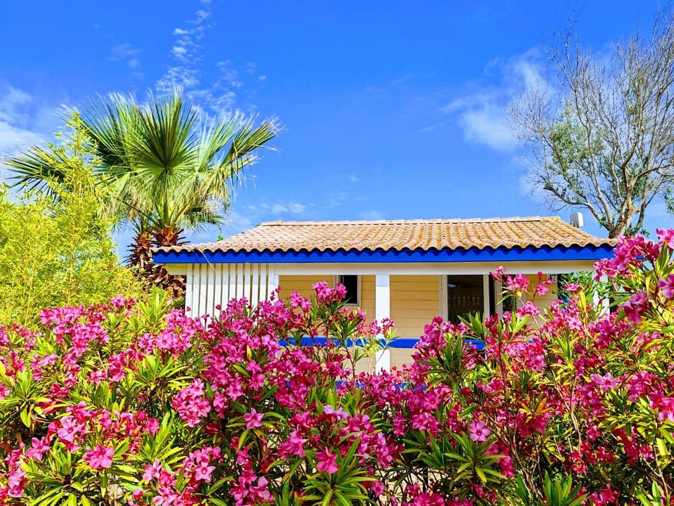 Camping Hameau Des Cannisses Campground/ 
RV Resort in Gruissan