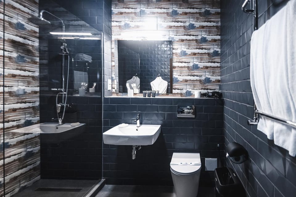 Shower, Toilet