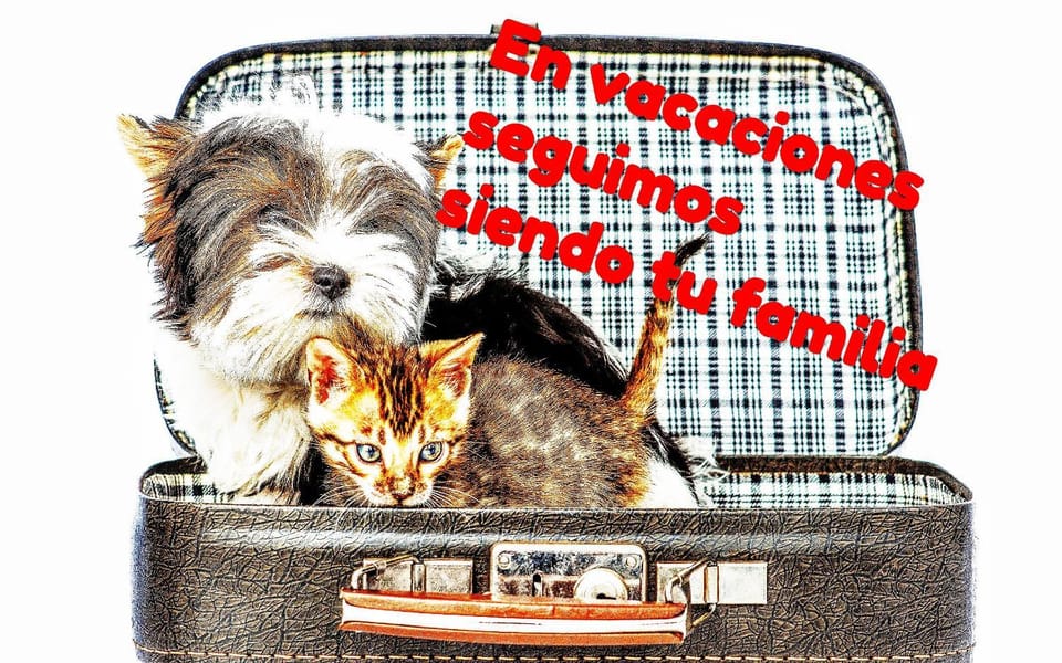 Pets