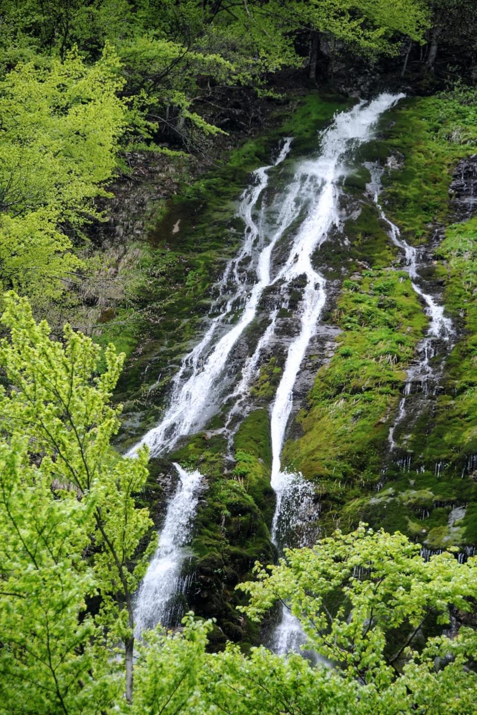 Gorska hiška Vogar nad Bohinjskim jezerom Nature lodge in Friuli-Venezia Giulia