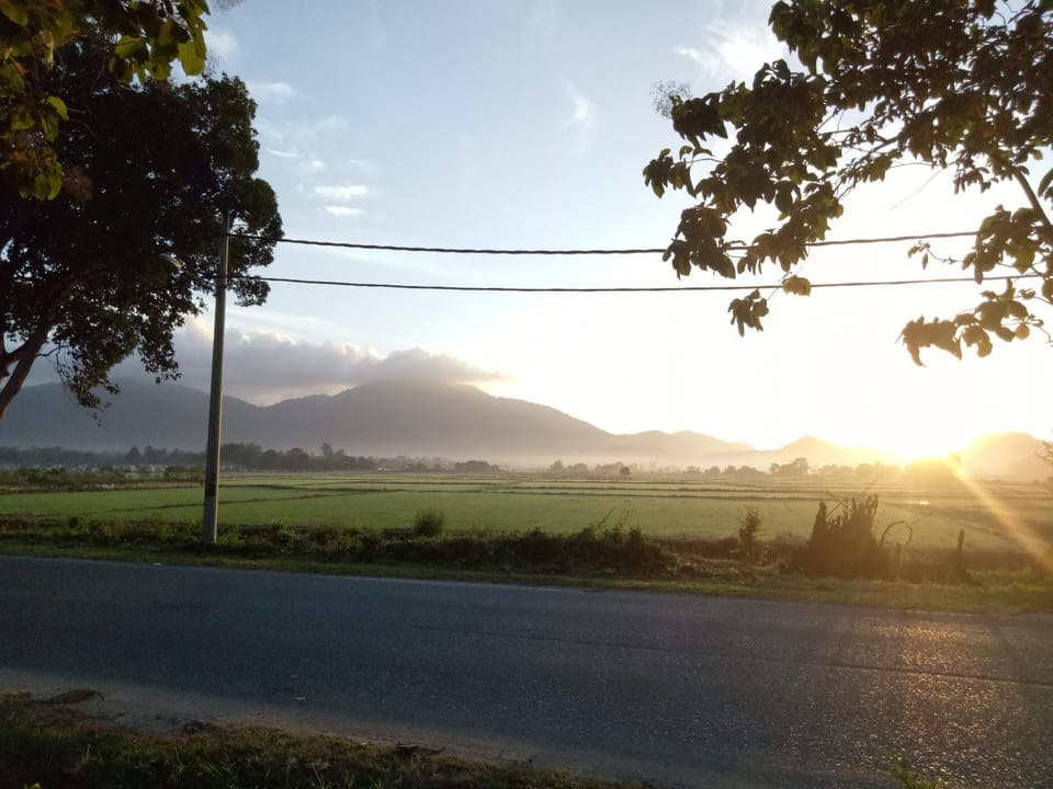 View (from property/room)