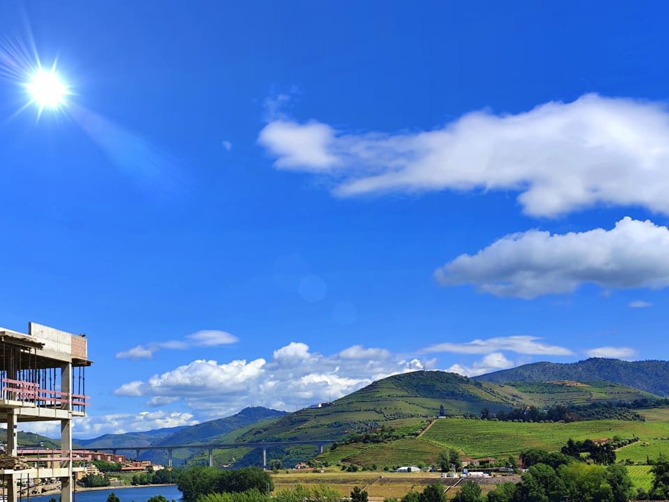 Casa do Salgueiral Douro Bed and Breakfast in Vila Real District