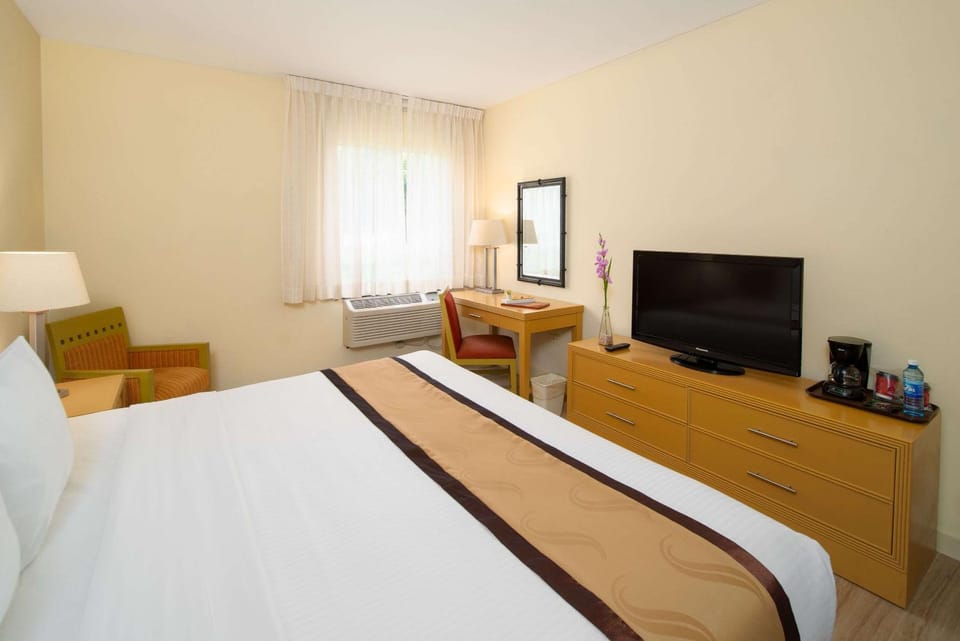 Bed, TV and multimedia, Coffee/tea facilities, Photo of the whole room, Business facilities, Seating area, Bedroom, locker, room service, soundproof, air conditioner