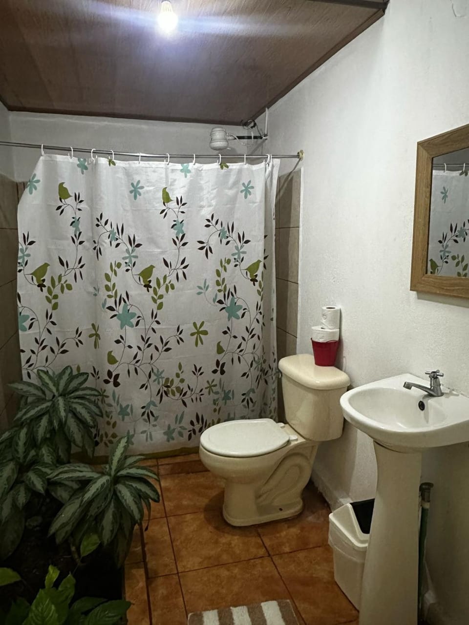 Toilet, Bathroom