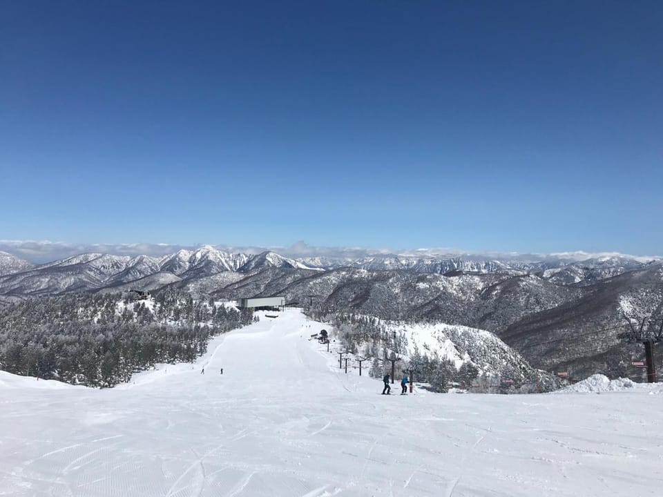 Skiing, Skiing