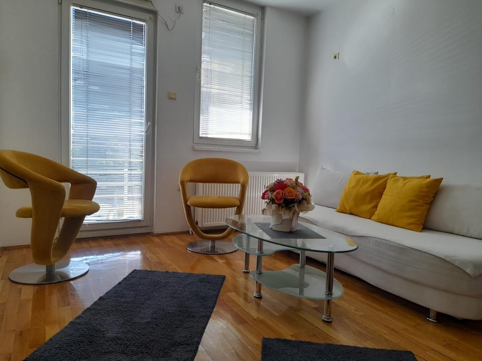 ARS VIP Apartment Apartment in Novi Sad