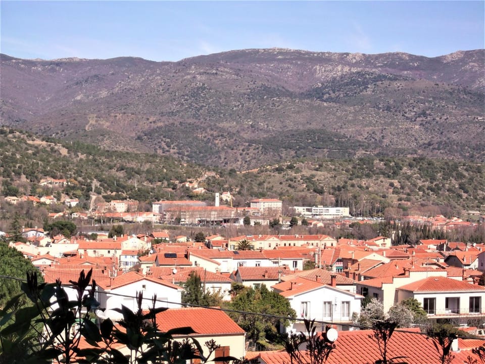View (from property/room), City view