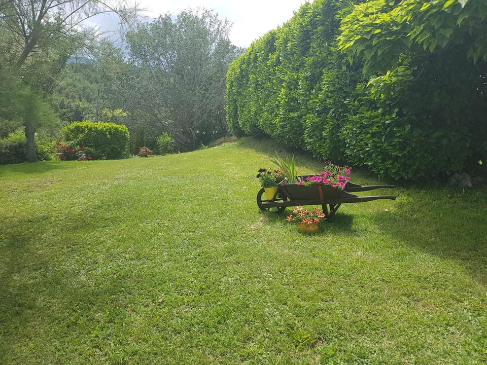 Property building, Garden