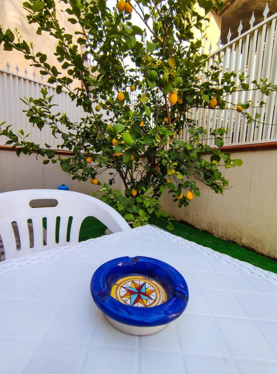 Patio, Garden