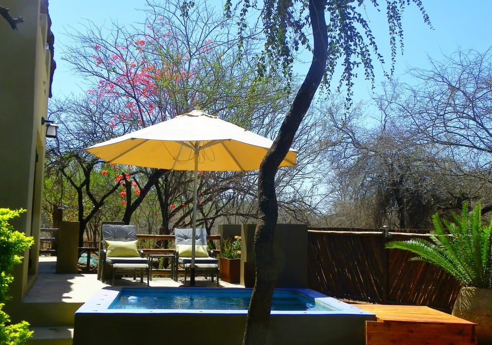 Patio, Swimming pool