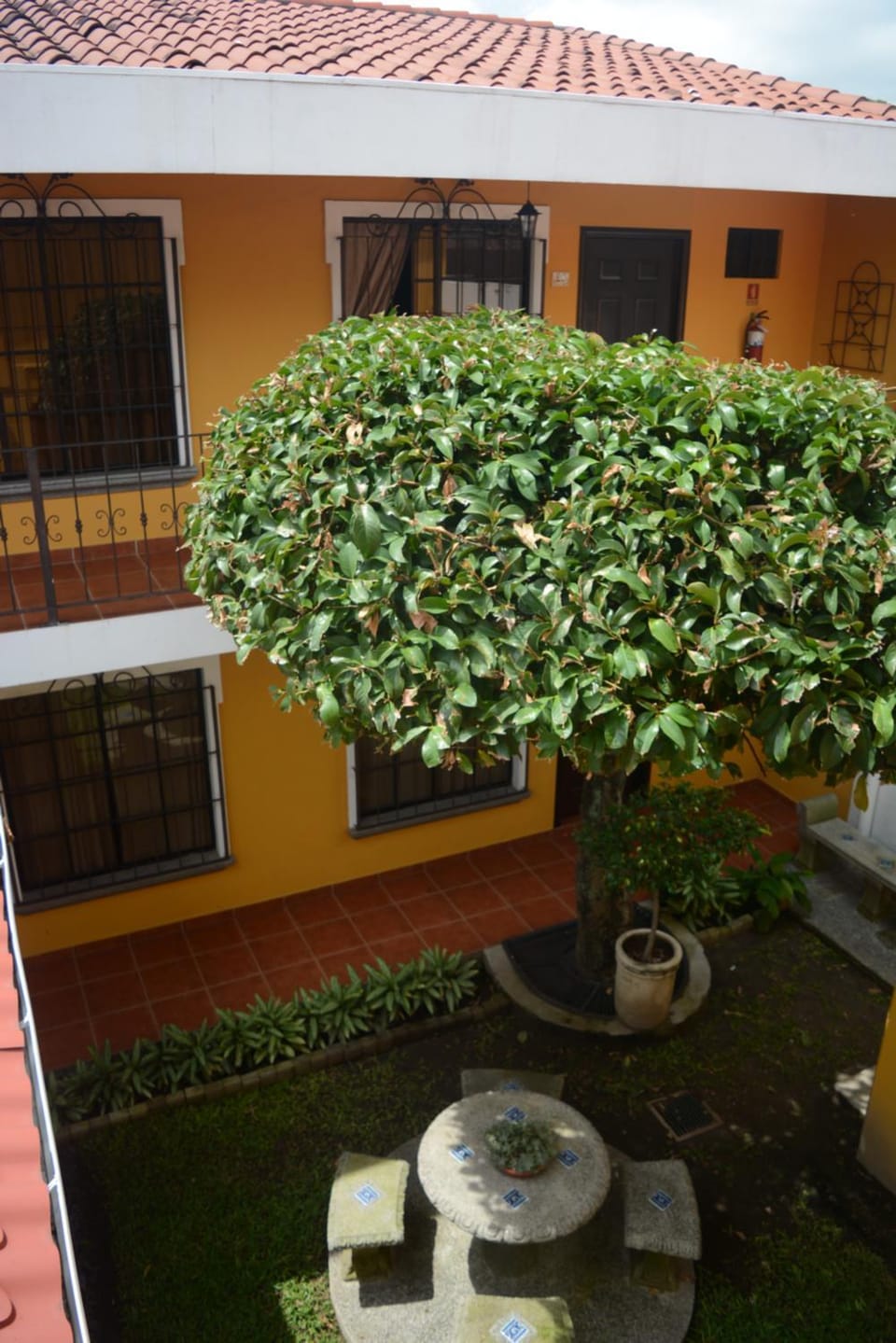 Patio, Garden
