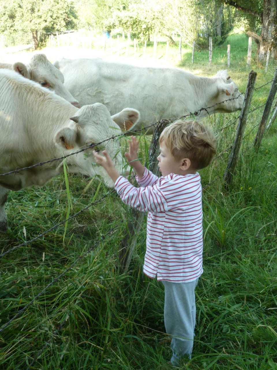 La Fritillaire Bed and Breakfast in Vosges
