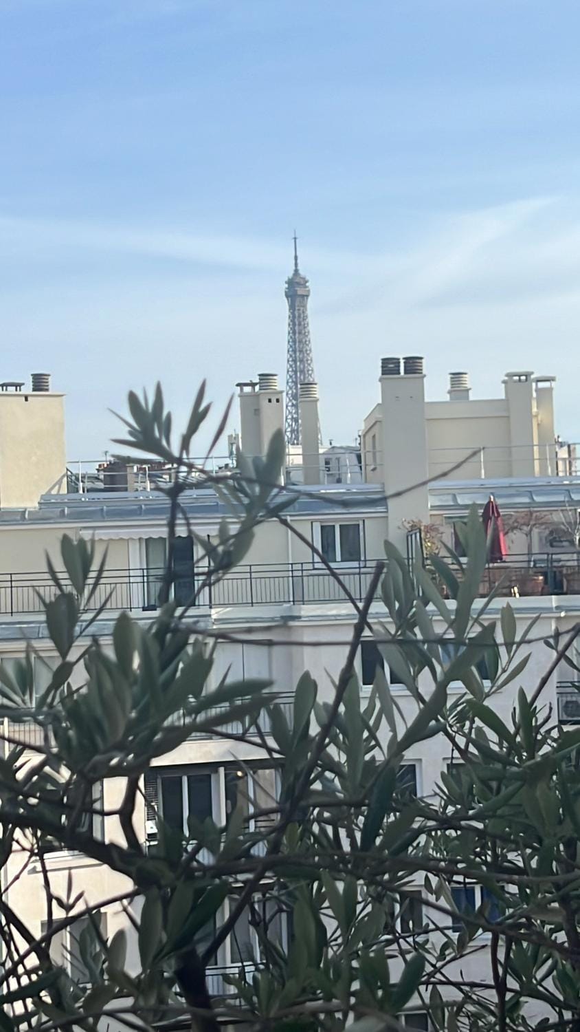 Appart Terrasse Vue Tour Eiffel Apartment in Paris