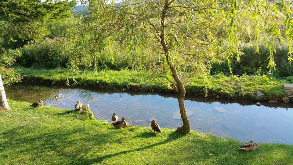 Rustic Inn River 2 Bed and Breakfast in Plitvice Lakes Park