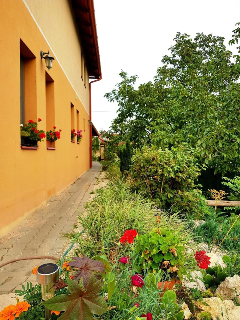 Facade/entrance, Garden