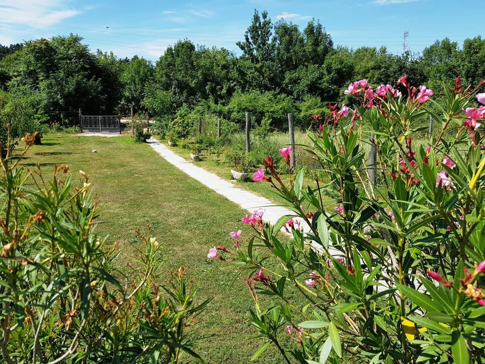 Garden, Garden view