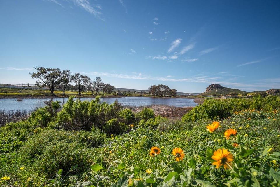 Natural landscape