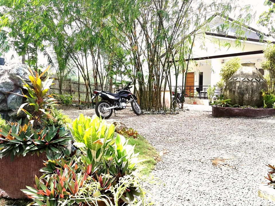 Day, Garden, On site