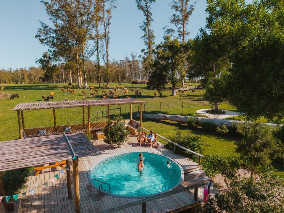 Property building, Activities, Swimming pool