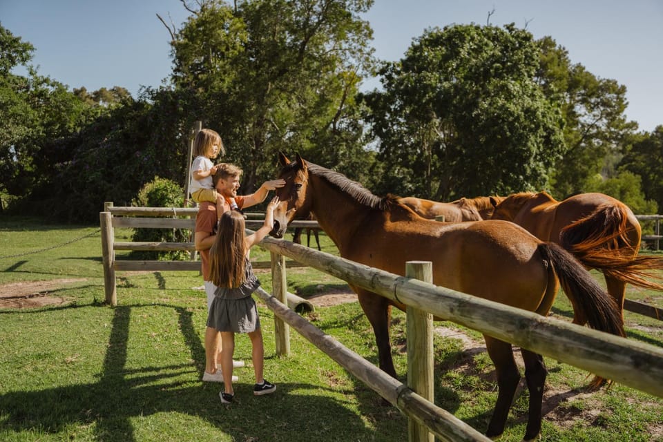 Property building, Activities, Horse-riding